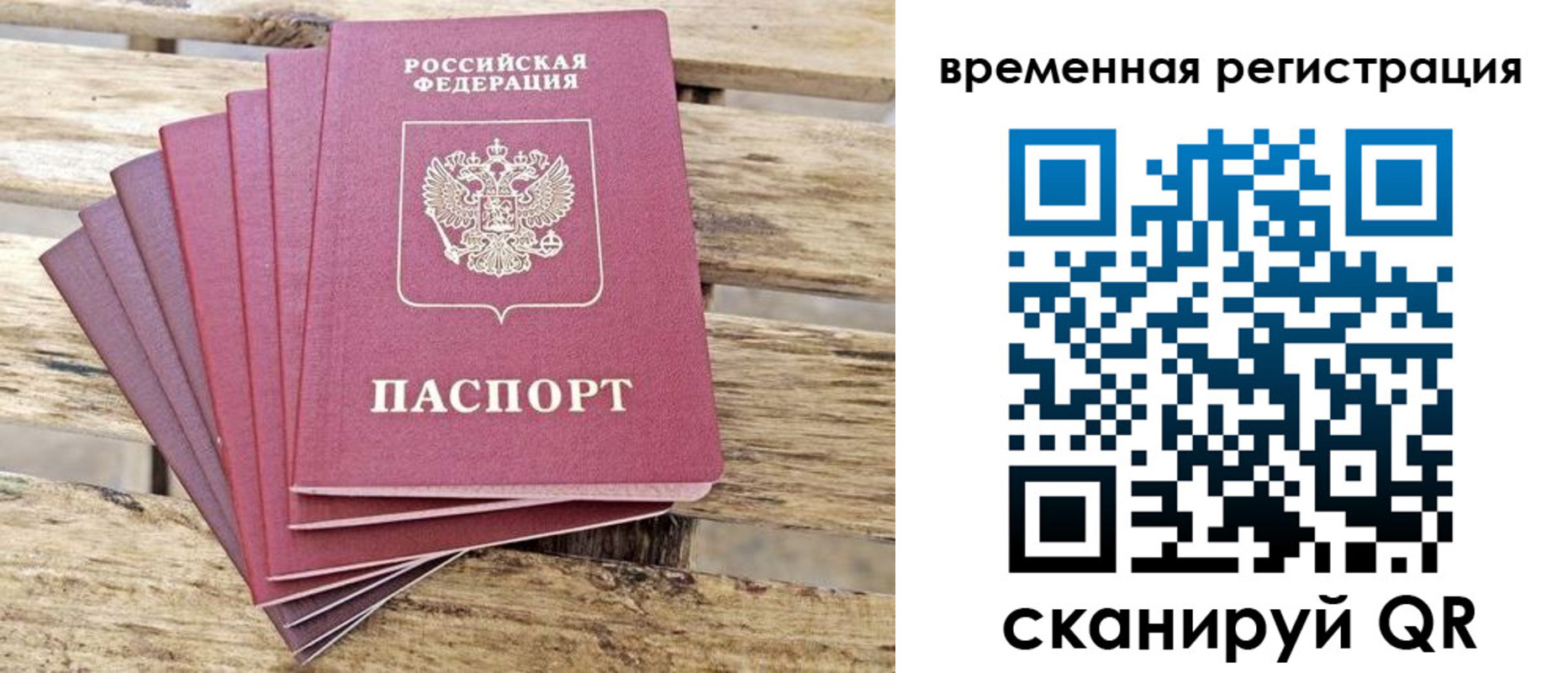 временная регистрация собственник в Мончегорске